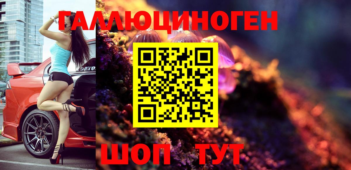Сатка  Псилоцибиновые грибы Psilocybe  Галлюциногенные грибы прущие грибы  Вход с VPN 